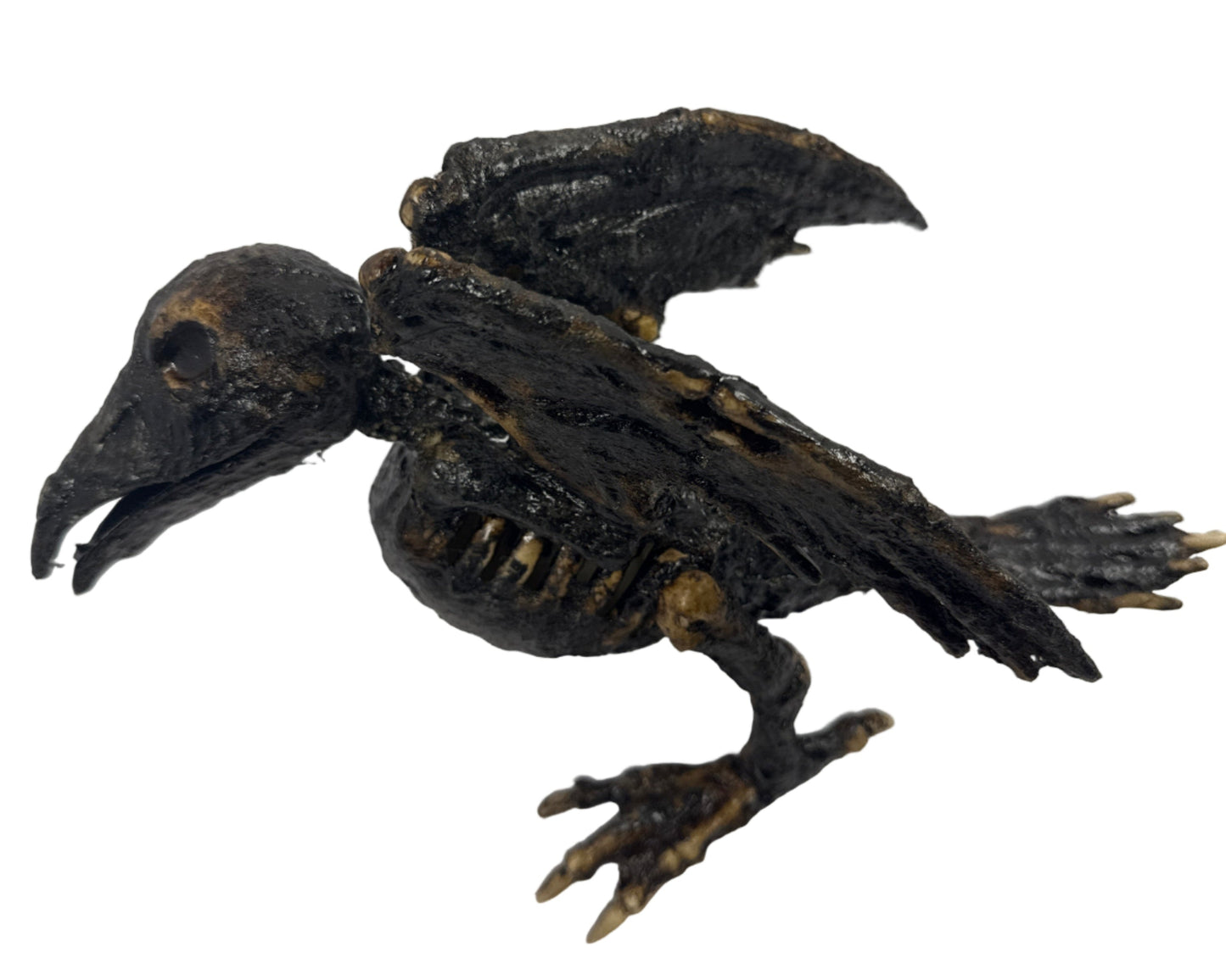 Corpse Bird