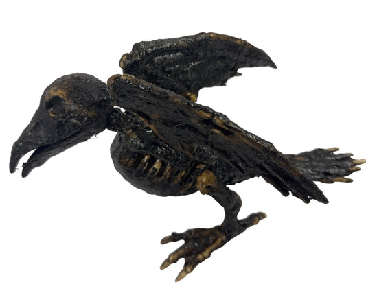 Corpse Bird