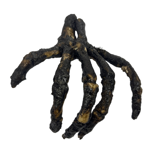 Corpse Hand