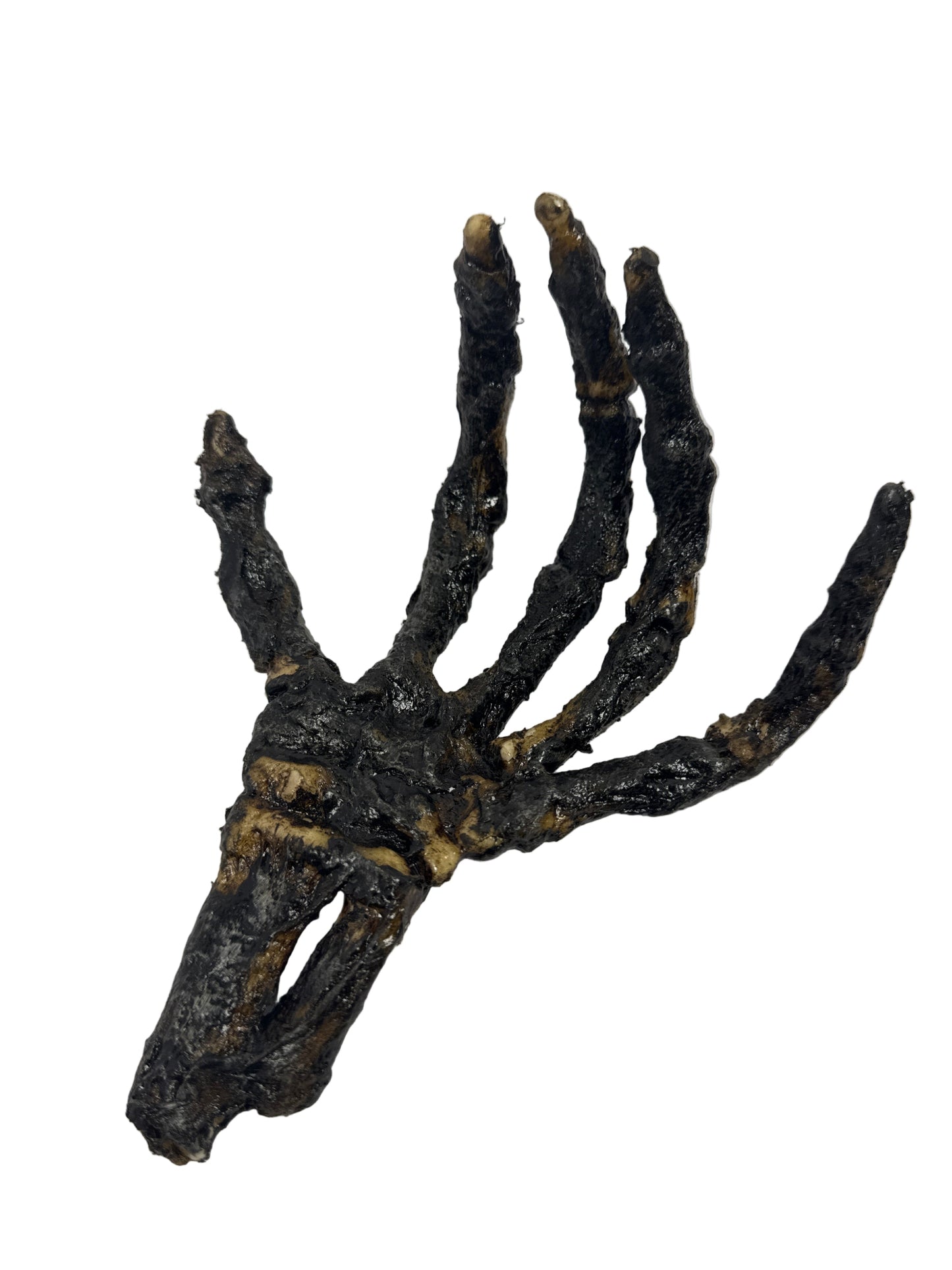 Corpse Hand3